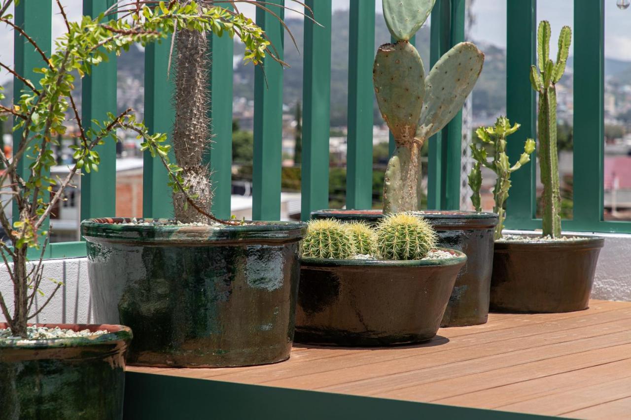 Holt - Villa Noria - La Casa Del Barro Verde Oaxaca Extérieur photo